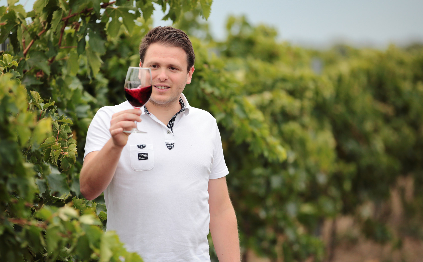 Pietro Wines – Sicilian Heritage